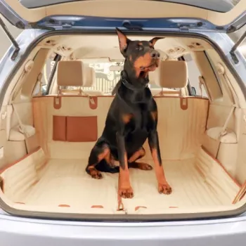Sturdy Dog Hammock With Side Flaps for Cleaner Car Seats